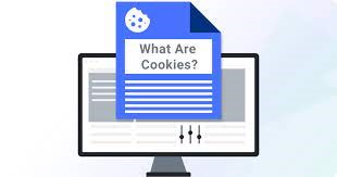 What are Computer Cookies?