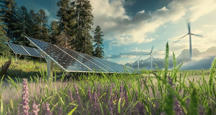 Innovations in Renewable Energy: What’s Next for Green Technology?